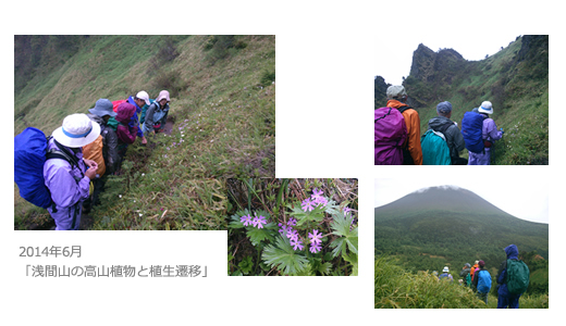2014年6月開催、浅間山の高山植物と植生遷移