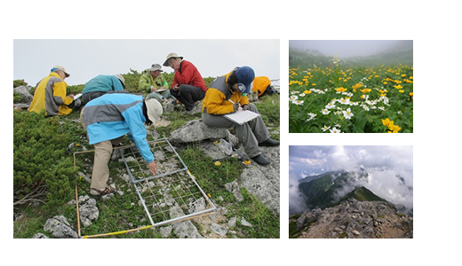 木曽駒ヶ岳での高山植生モニタリング作業風景