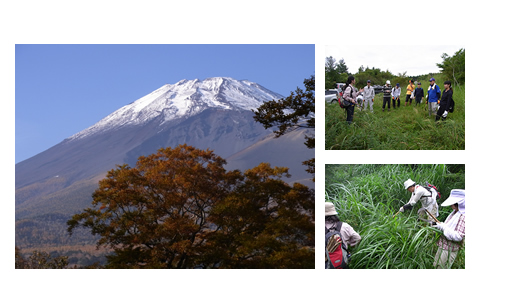 富士山と現地での作業風景