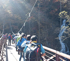 山の自然学講座イメージ写真