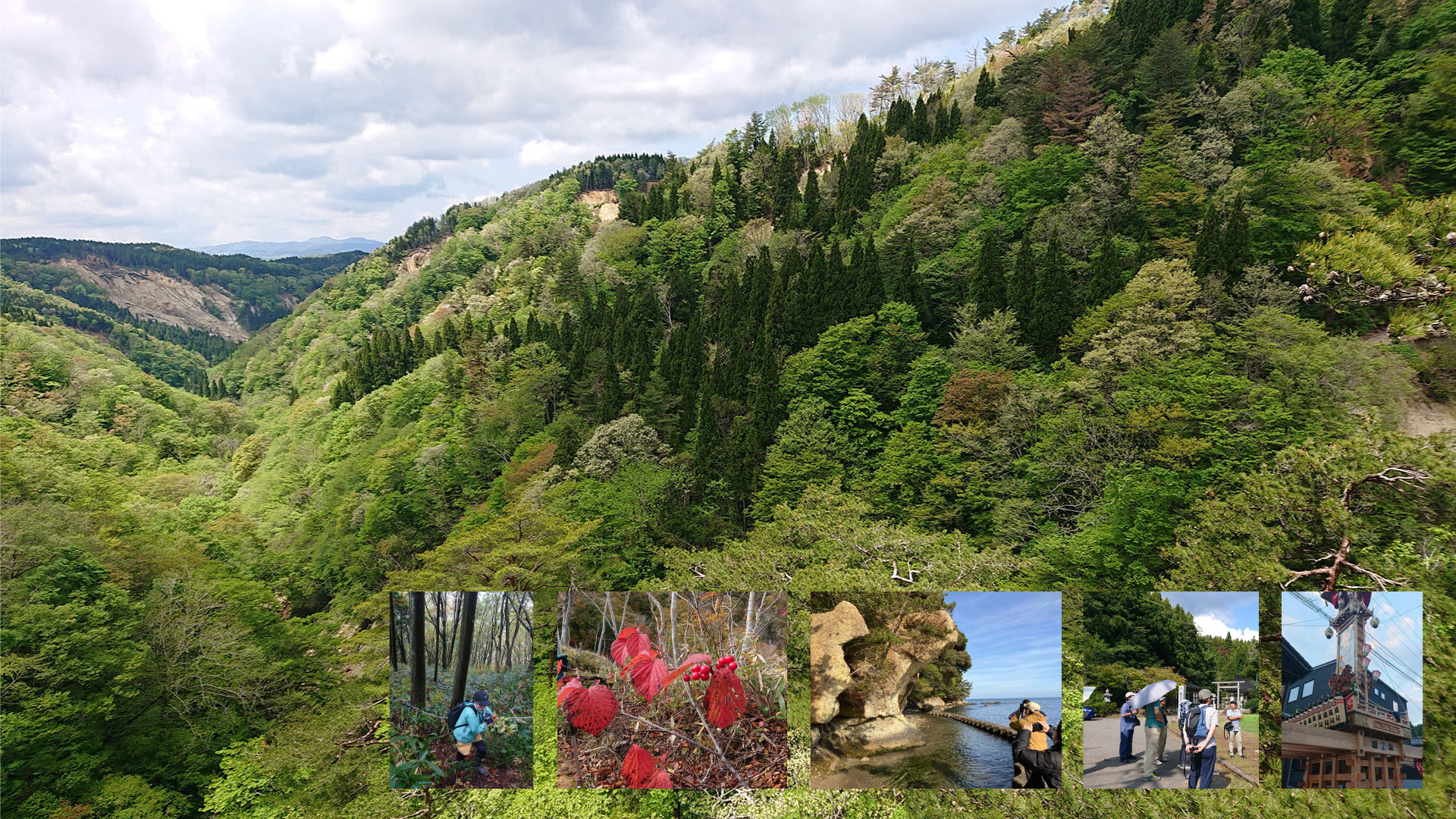 能登の里山里海・自然再生活動
